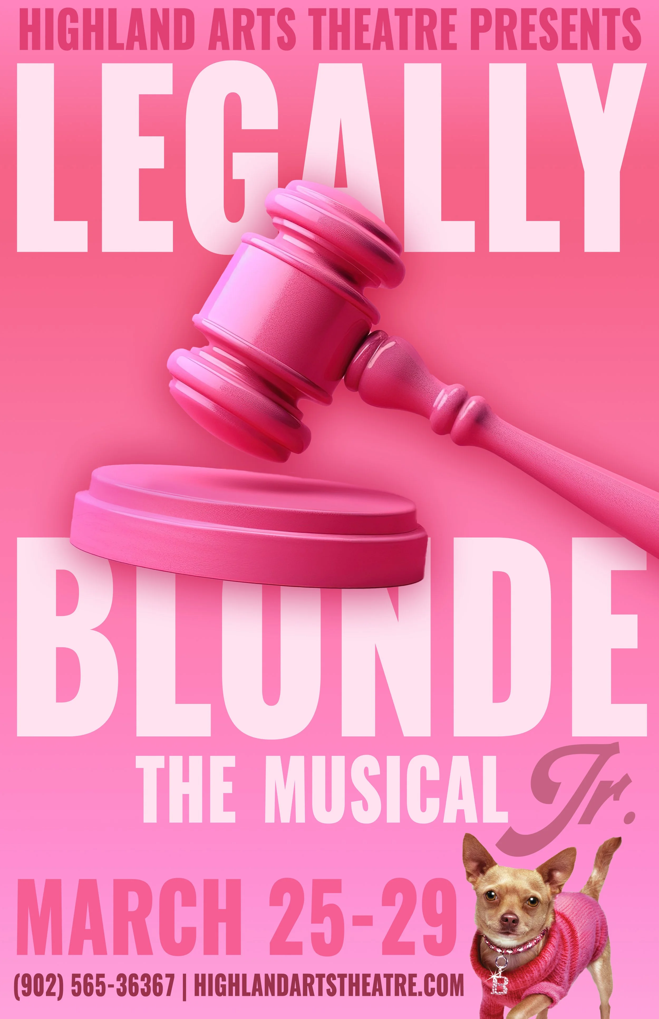 Legally Blonde the Musical JR
