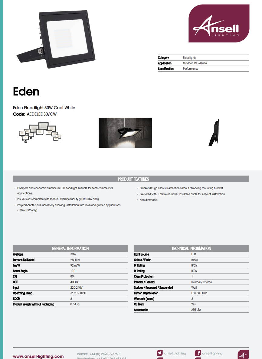 Eden Floodlight 50W Cool White AEDELED50/CW