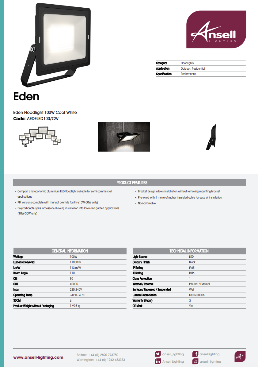 Eden Floodlight 100W Cool White AEDELED100/CW