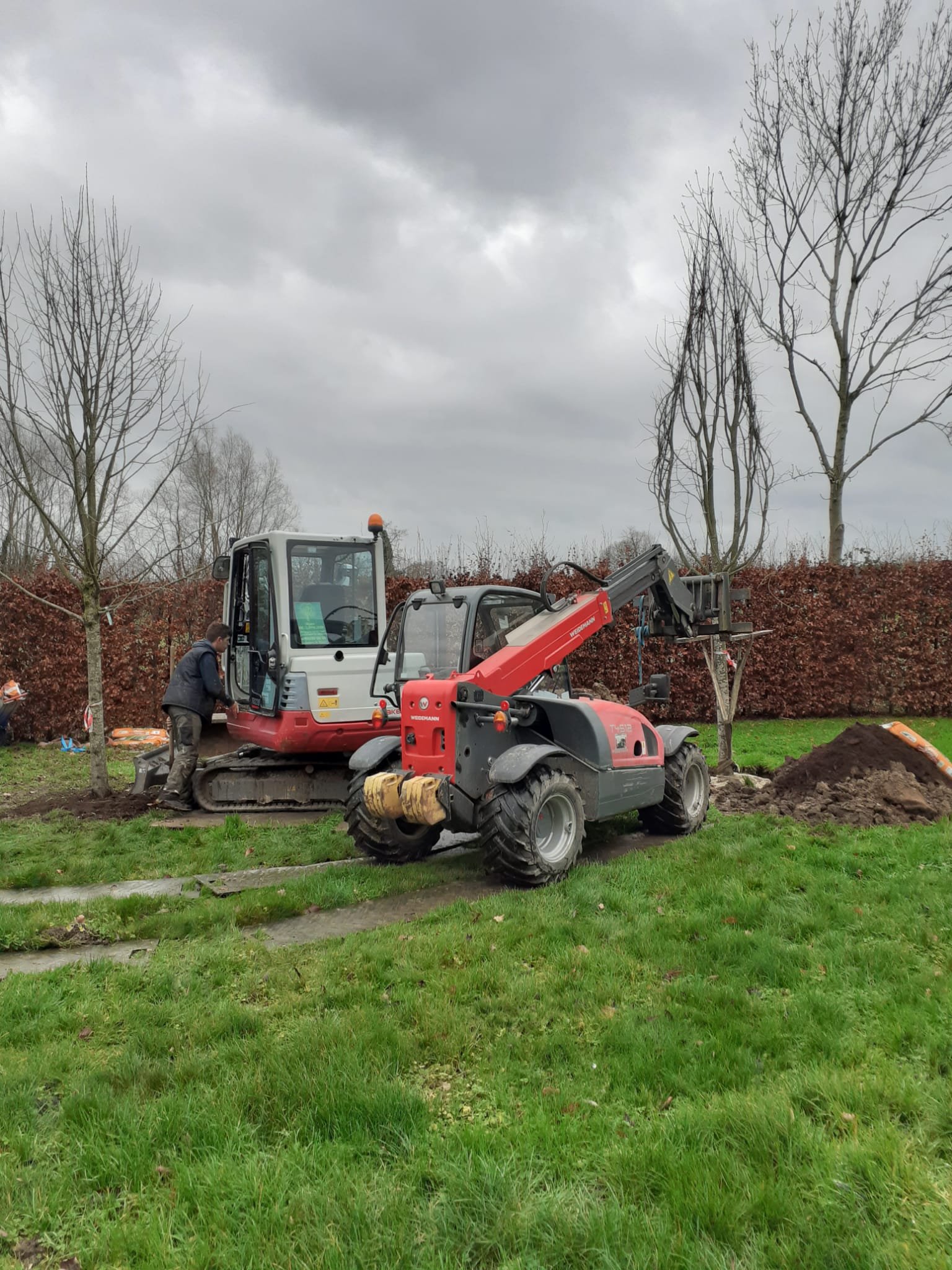 Aanleg en onderhoud van landelijke tuin