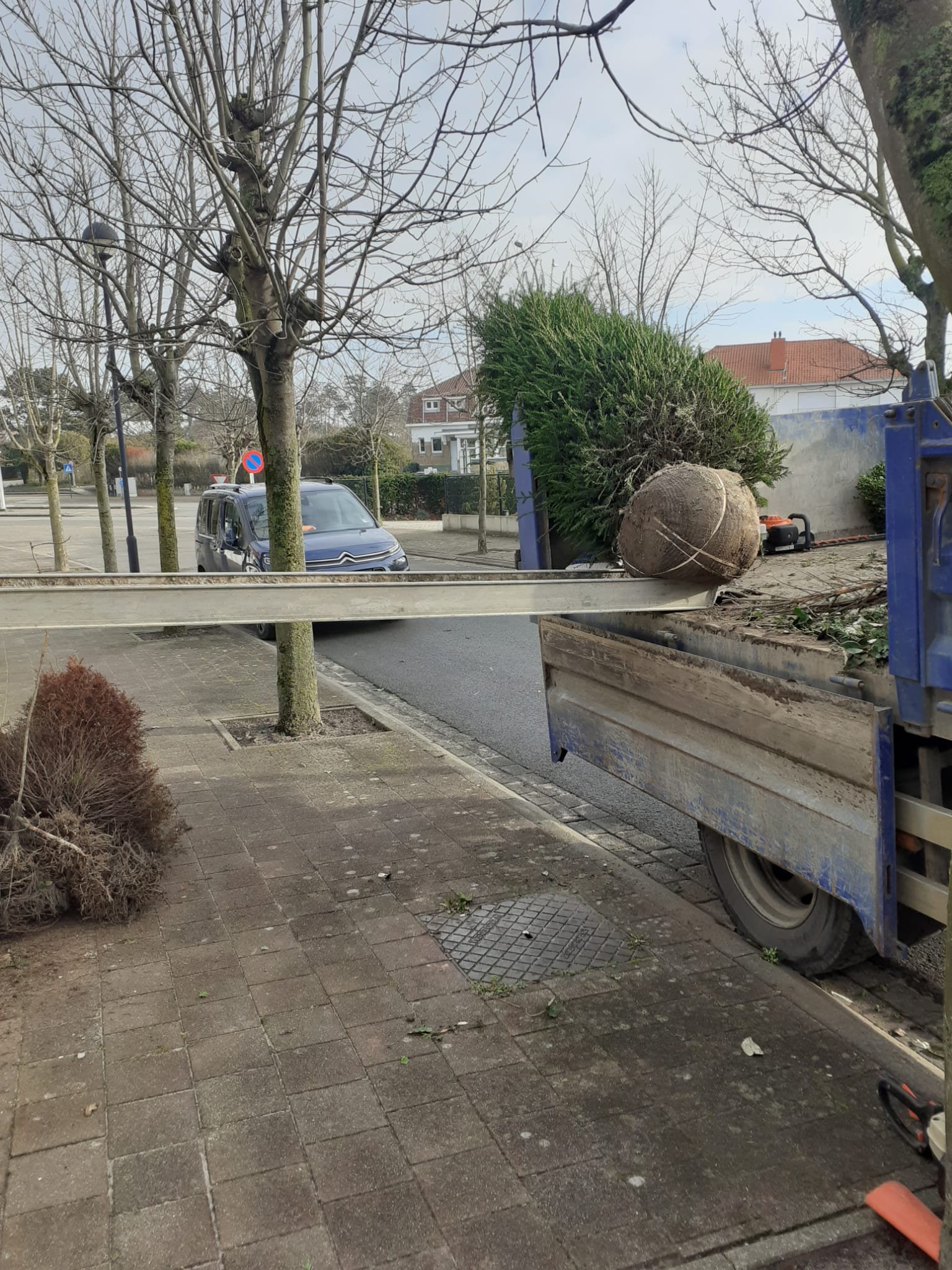Aanplantingen