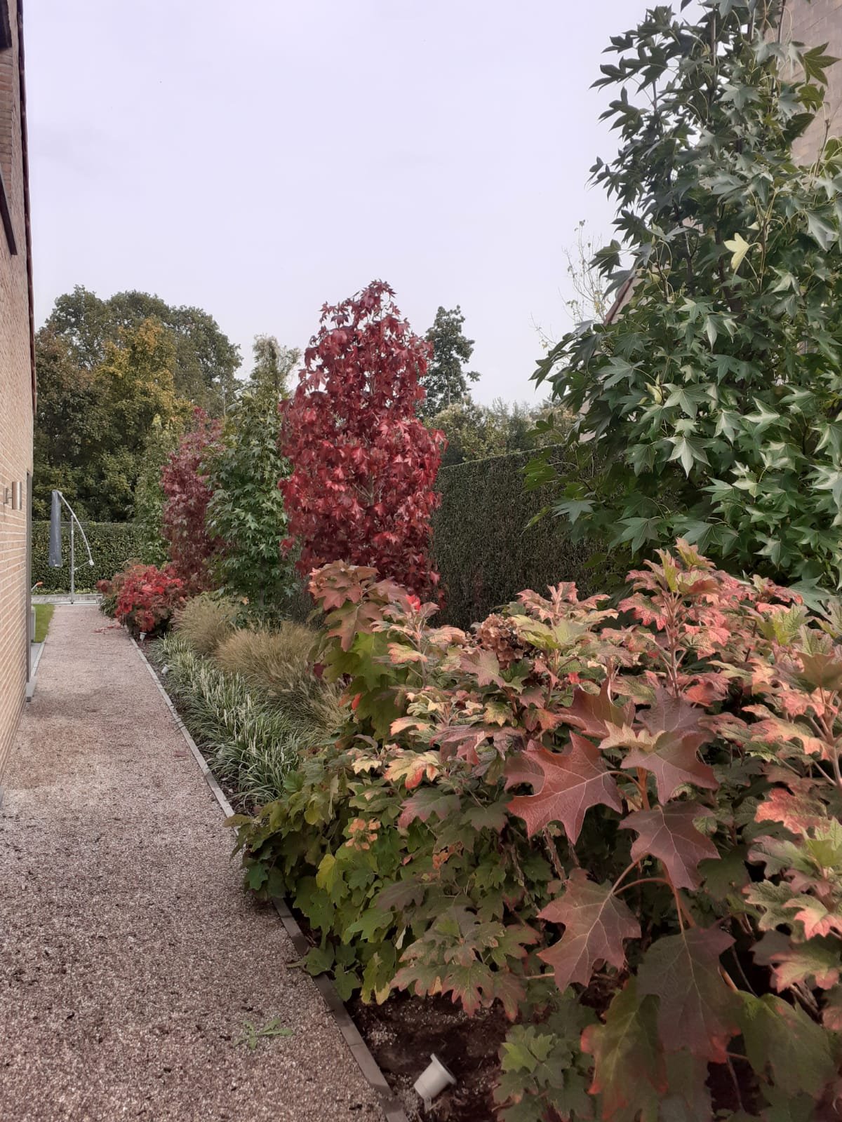 Aanplantingen