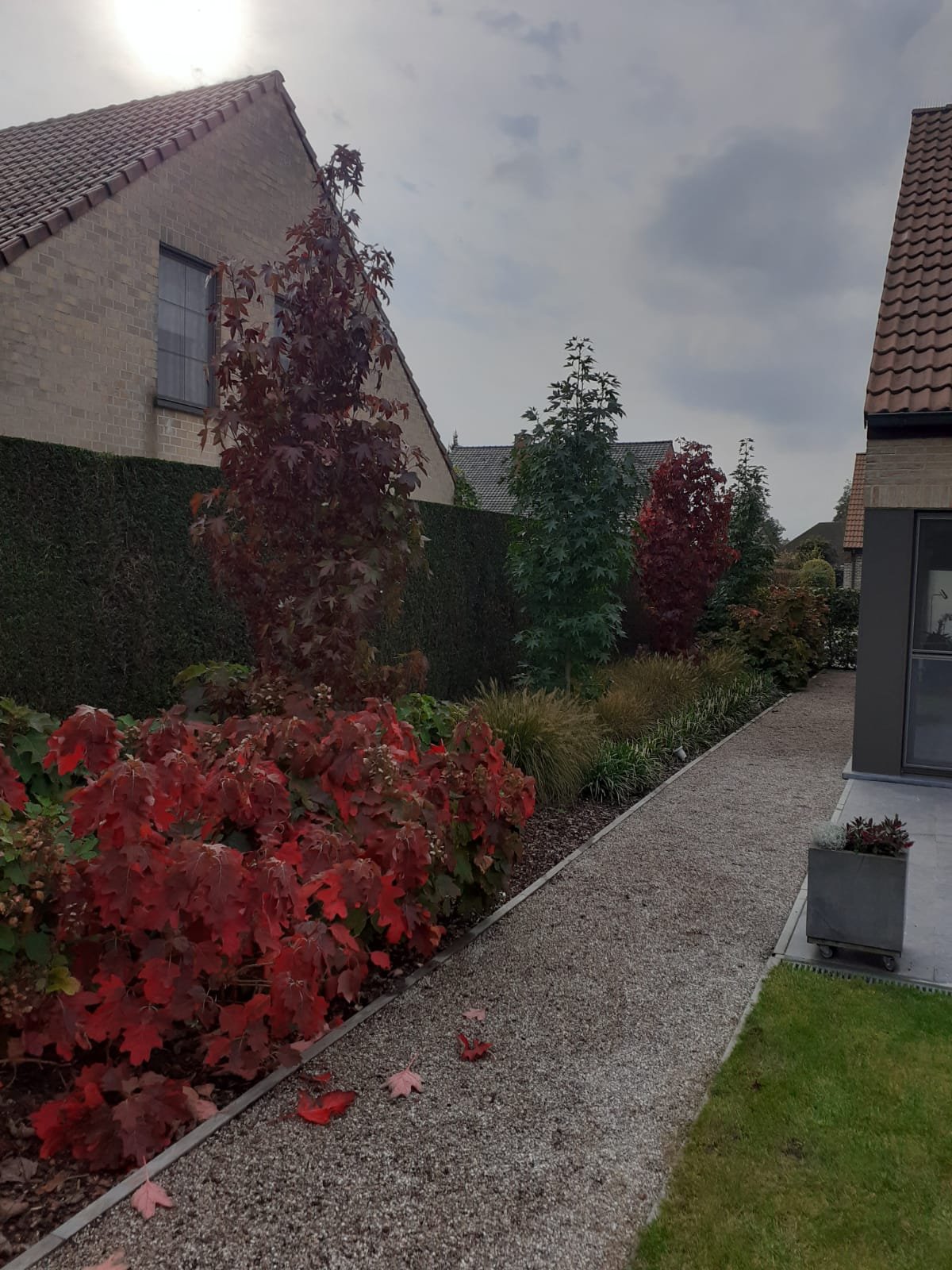 Aanplantingen