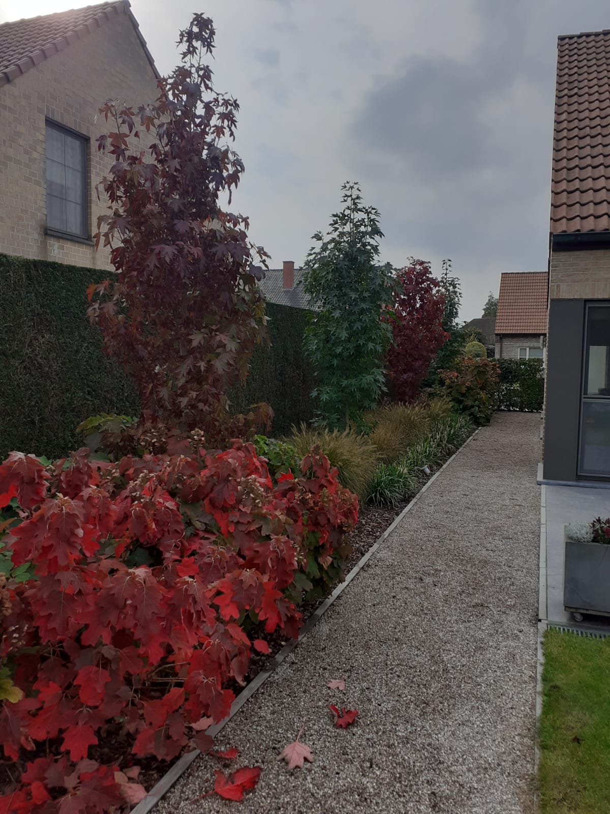 Aanplantingen