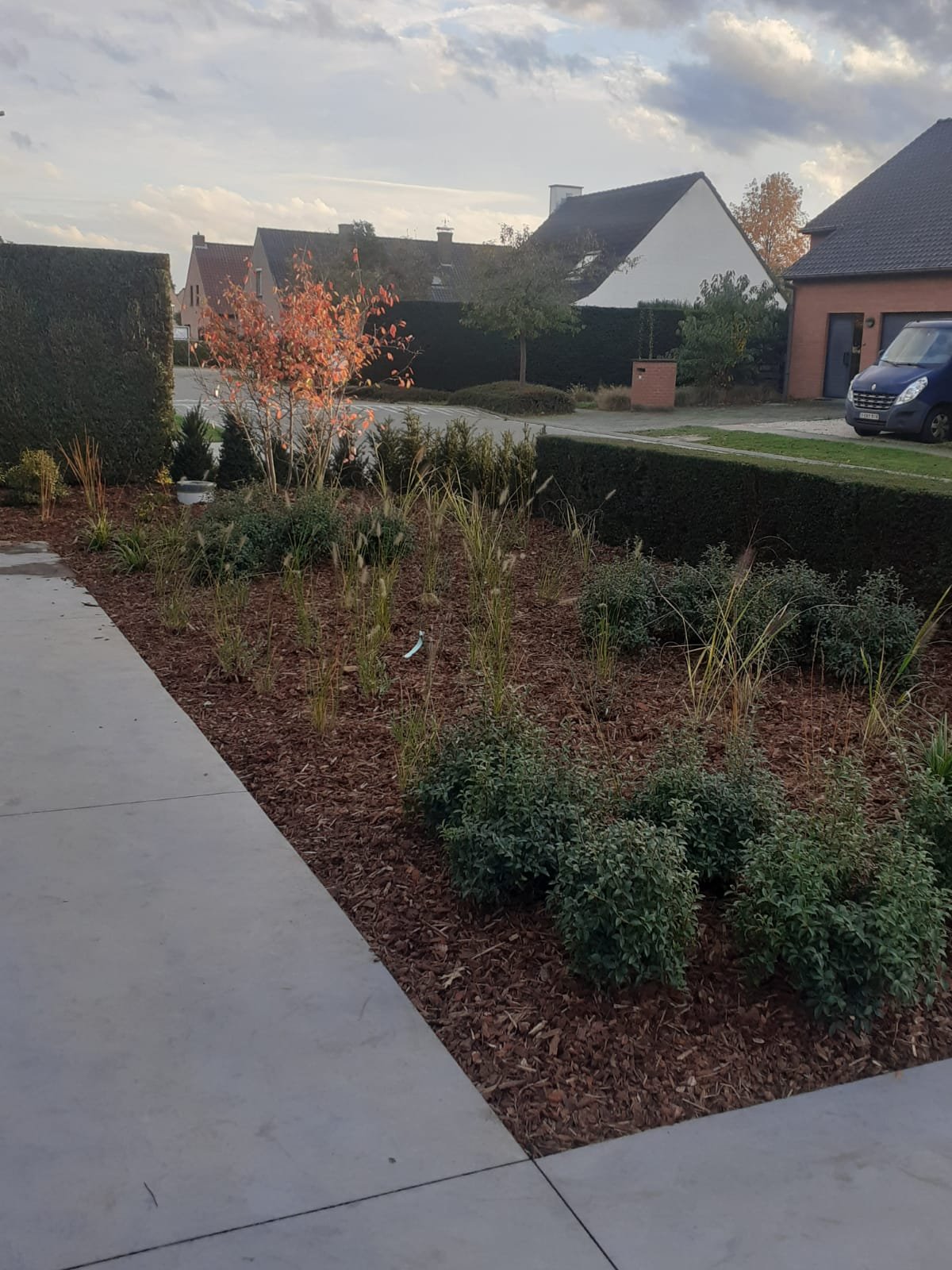 Aanplanting met polybeton