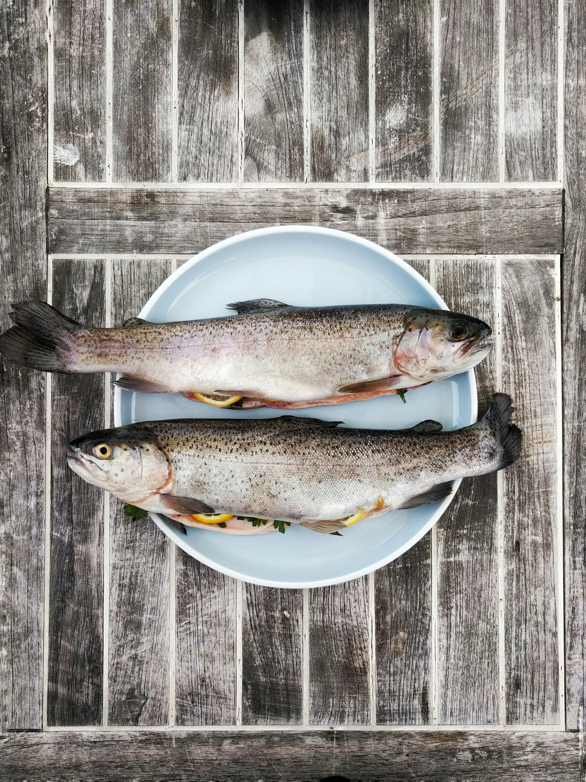Fiskeskolen – fra hel fisk til ferdig rett