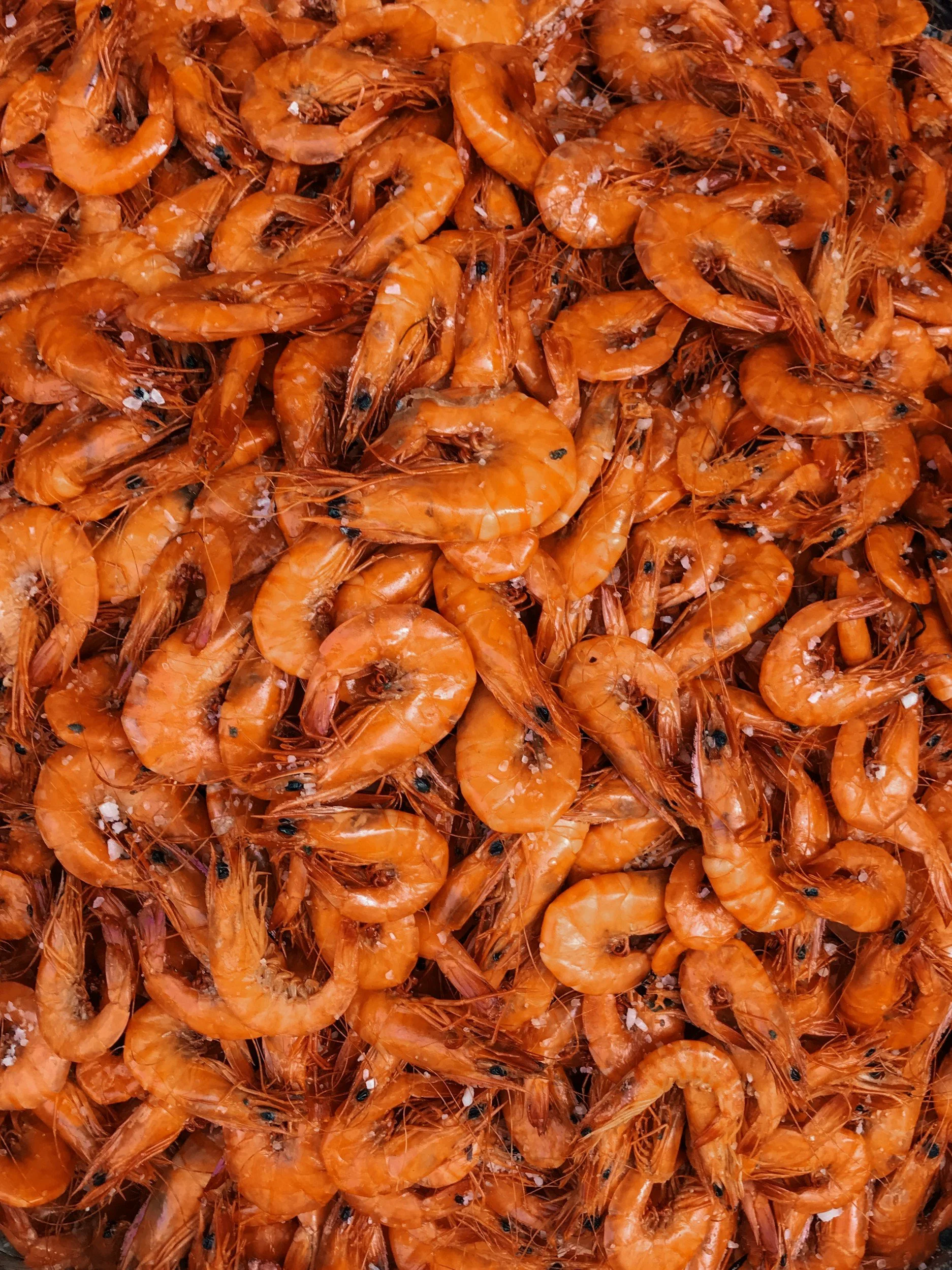 Rekekurs – hele reken, ekte smak