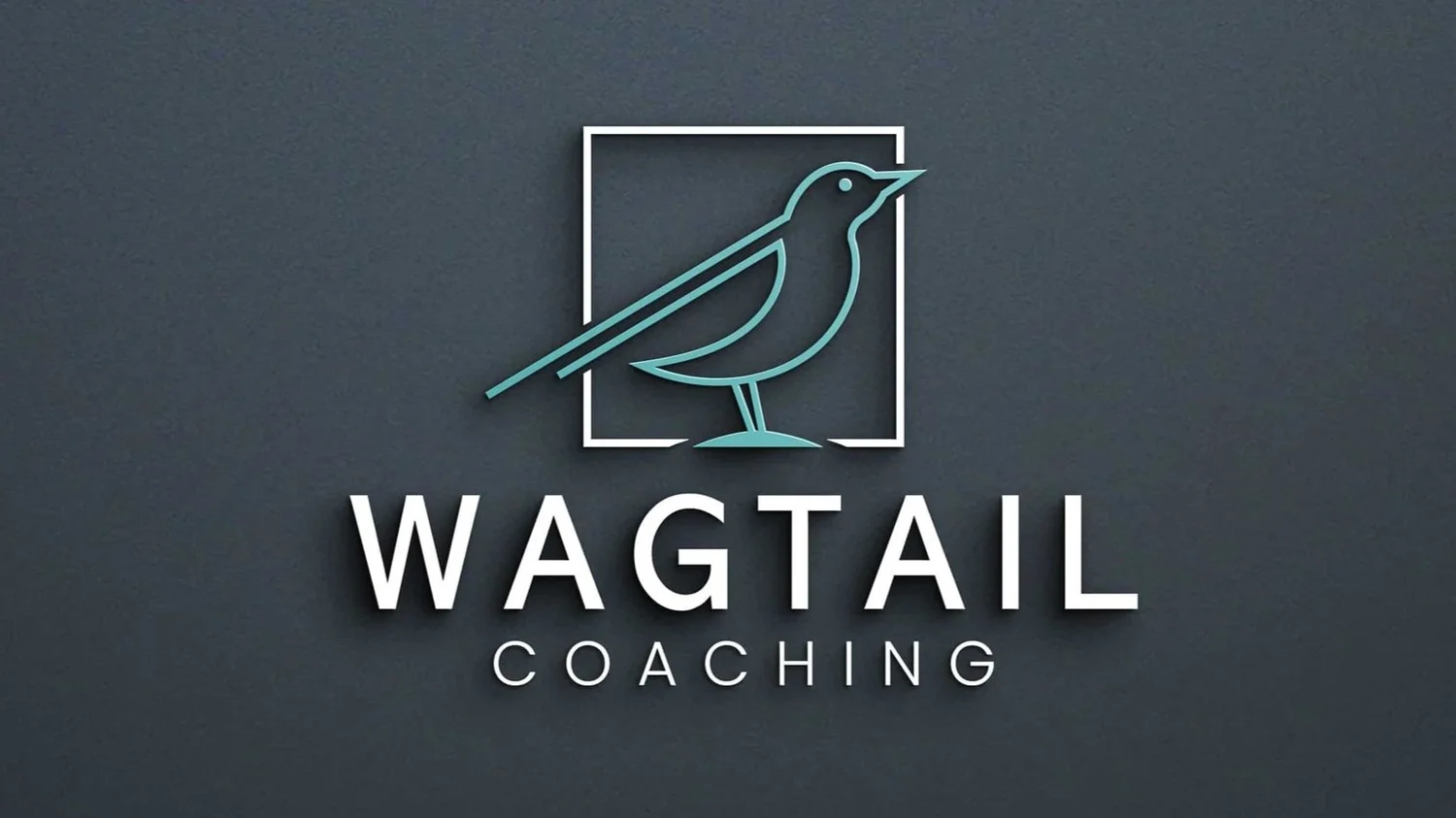 Wagtail Coaching - Professional Coaching for Individuals and Teams