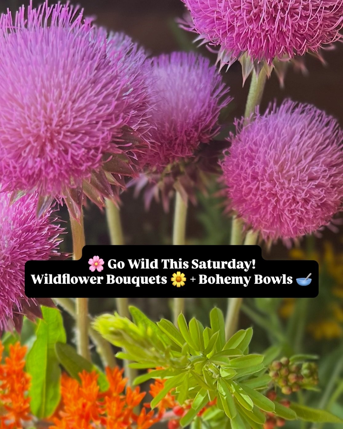 Wildflowers + smoothie bowls = your new Saturday ritual 🌸💫
Come by @bohemybowls tomorrow from 10AM–6PM to snag one of our first-ever wildflower bouquets, grown with love at Maple Valley Farm. 🌼
✨ Limited supply
✨ Local blooms
✨ Good vibes