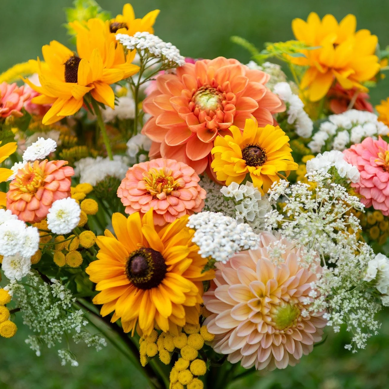 ✨ Farm to Florist ✨
From our Smoky Mountain fields straight to your hands — Maple Valley Farm flowers are grown with florists + designers in mind. 🌸
💐 Long vase life
🌻 Vibrant local varieties
🍂 A season that lasts through October
Whether