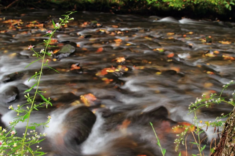 9-29-2012 Cades Cove53.JPG