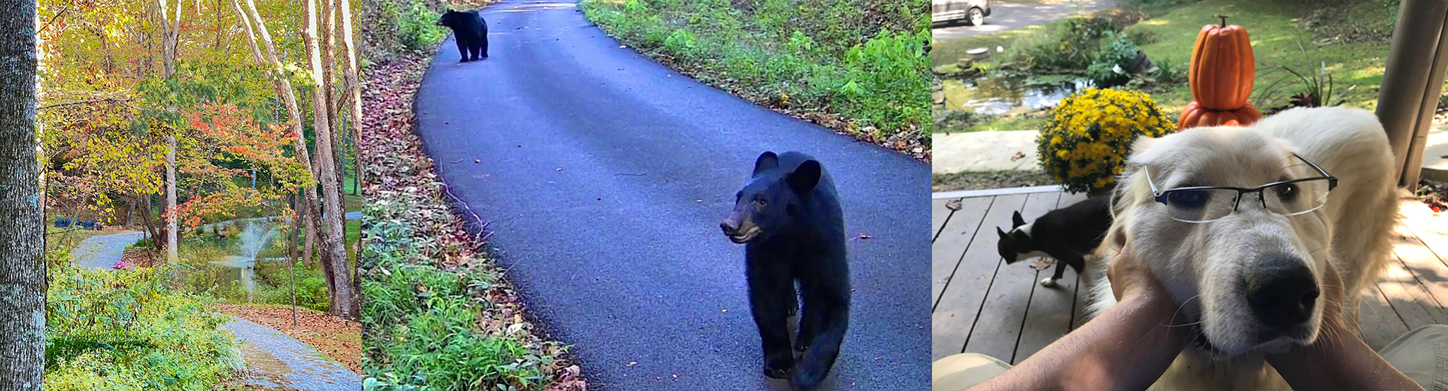 Fall at Maple Valley Farm in the Smoky Mountains