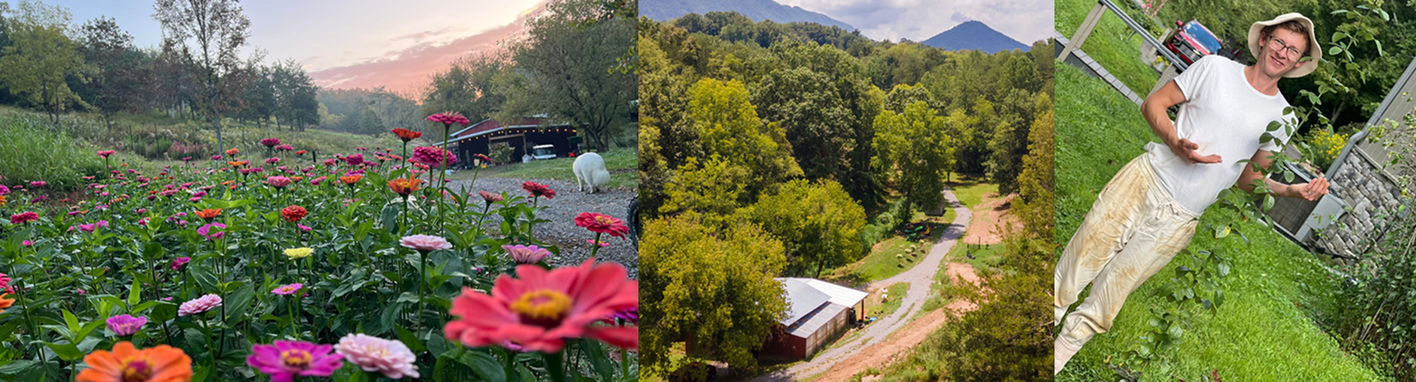 Summer blooms and gardens at Maple Valley Farm