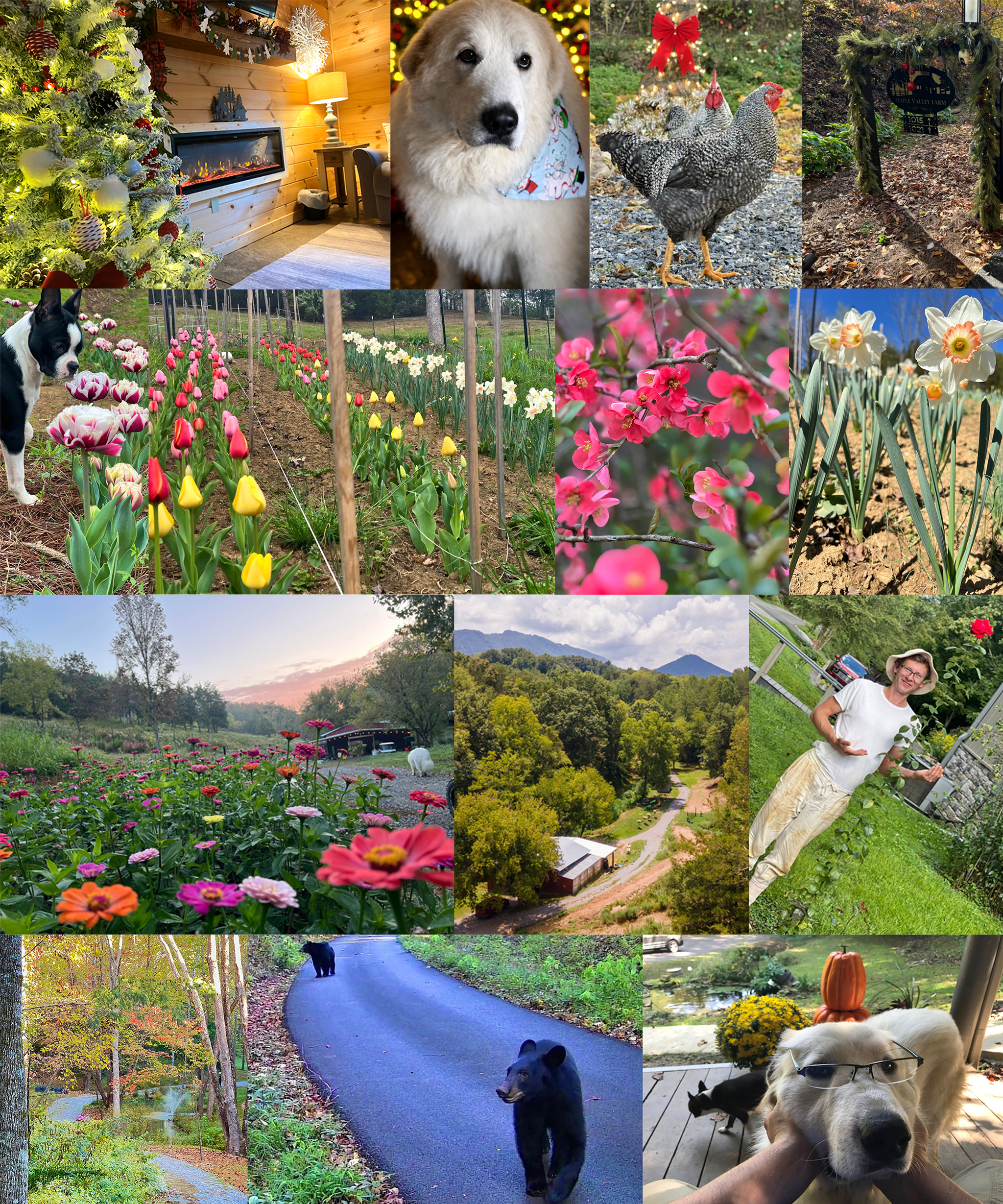 Looking Back on 2025 - And Making Room for New Memories in 2026