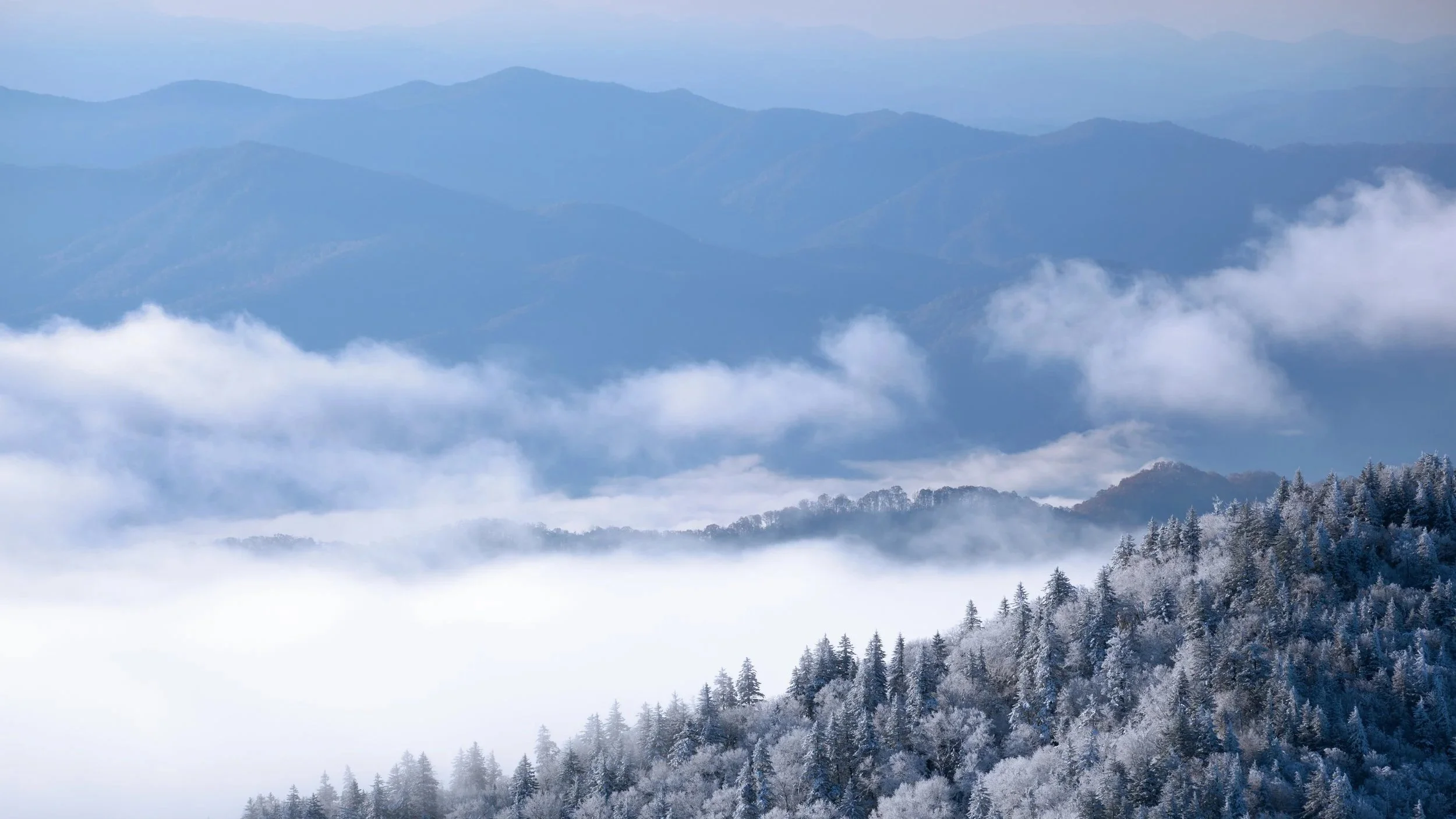 When the Valley Exhales: A Restful Season at Maple Valley Farm
