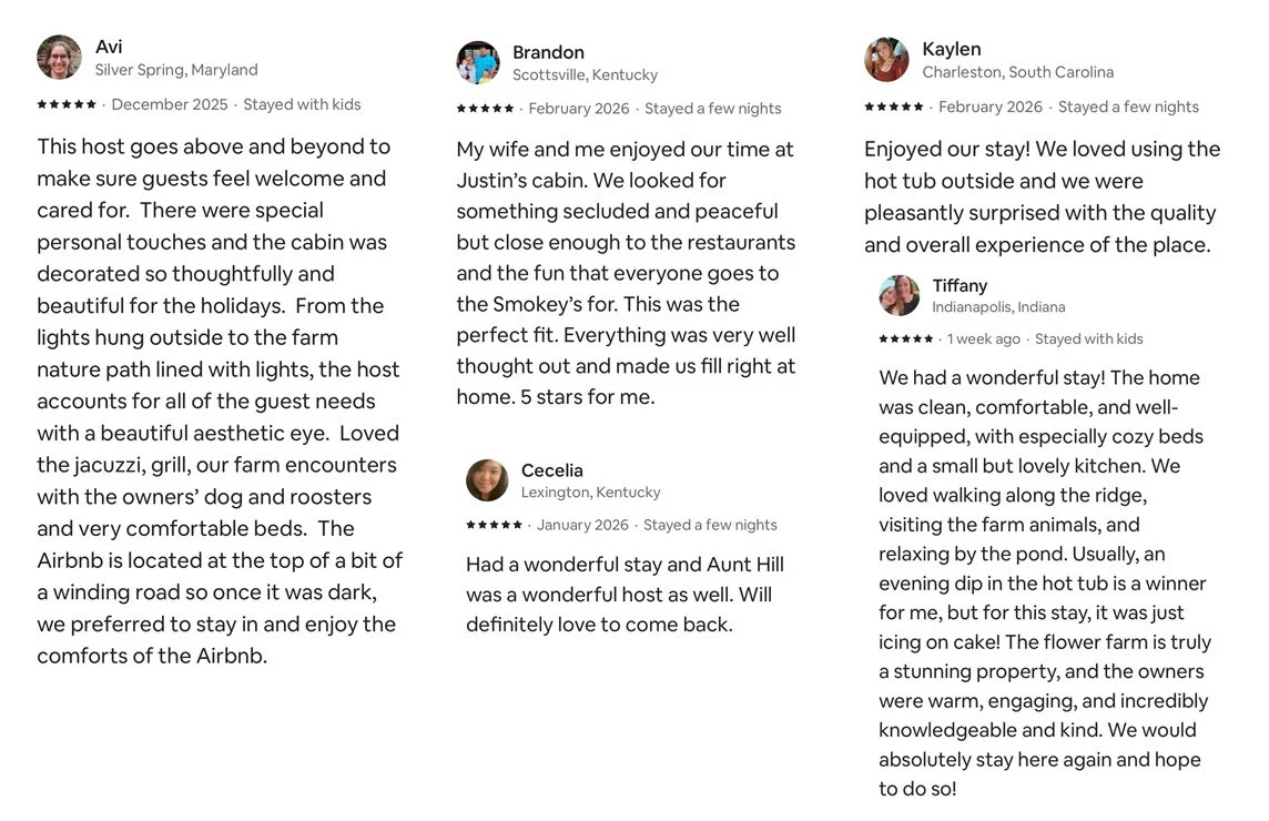 Bear Cub Cabin Guest Reviews