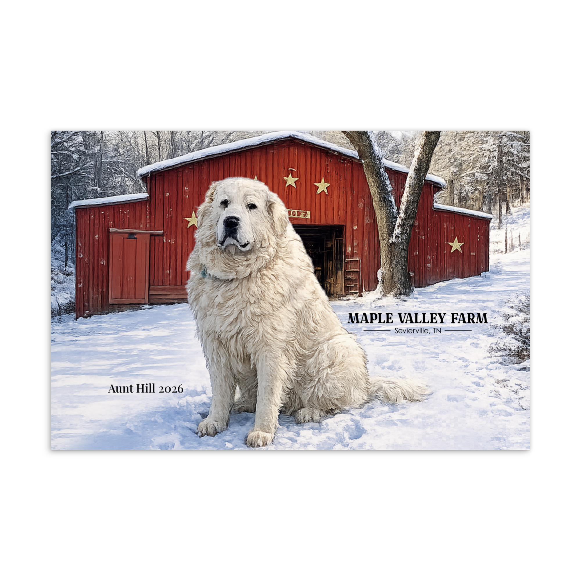 Winter at Maple Valley Farm Postcard – Aunt Hill in the Snow