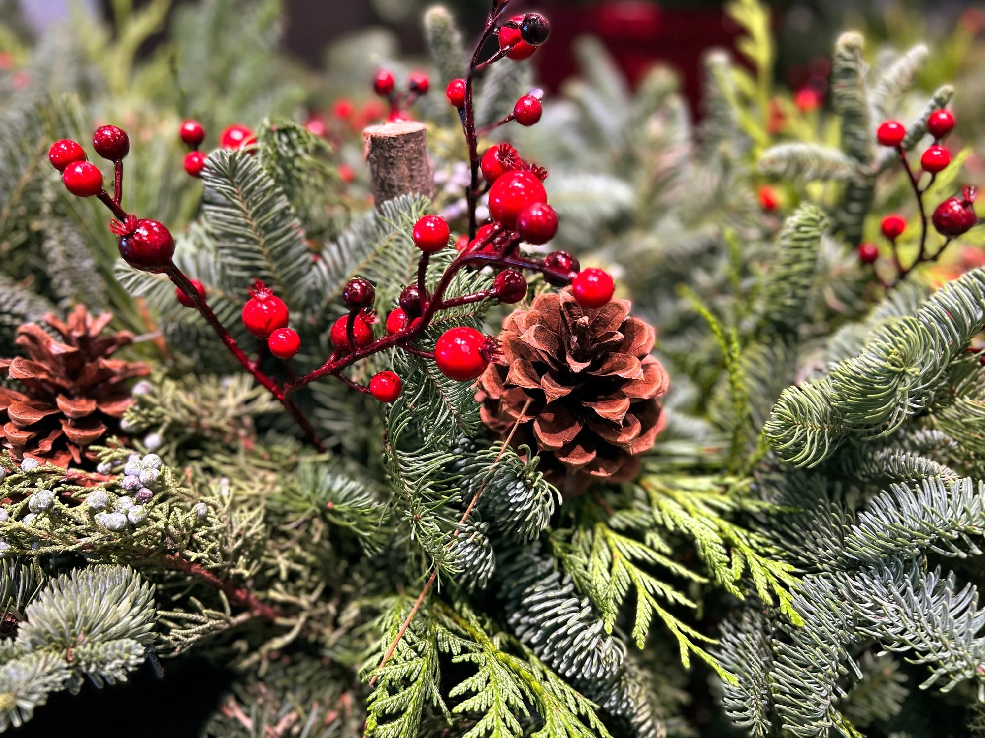 Winter Blooms, Decor & Foliage
