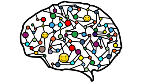 The Developmental Affective Science Lab