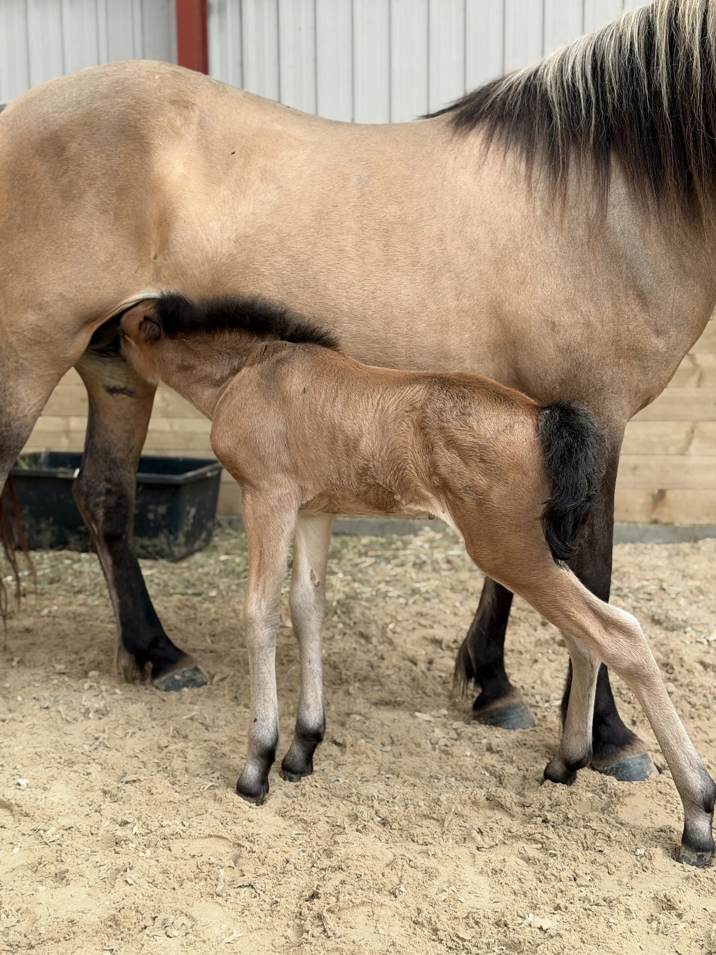 IMG_6048.JPG