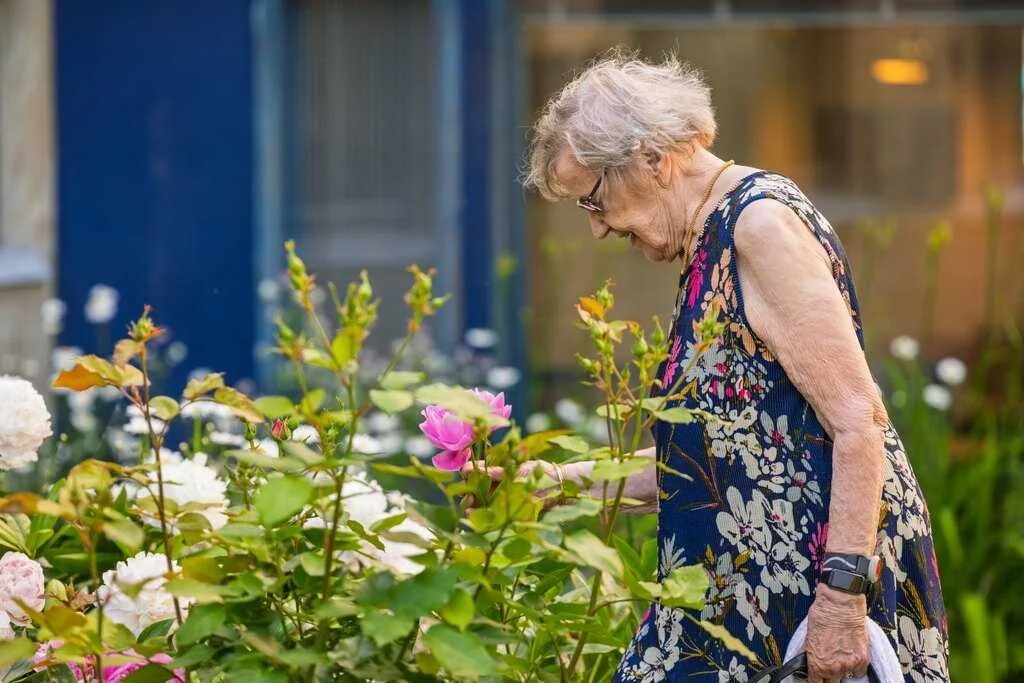 senioritalossa-tapahtuu.jpg
