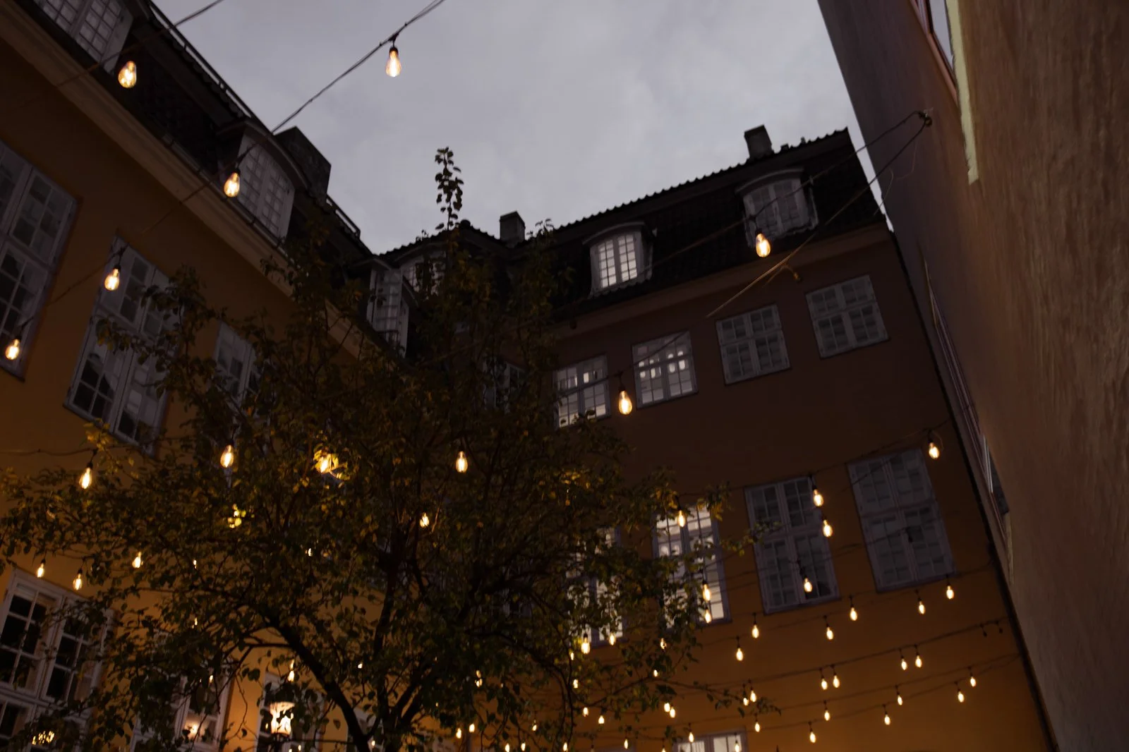 Asiakaskokemus: vinkkejä vuoteen 2026