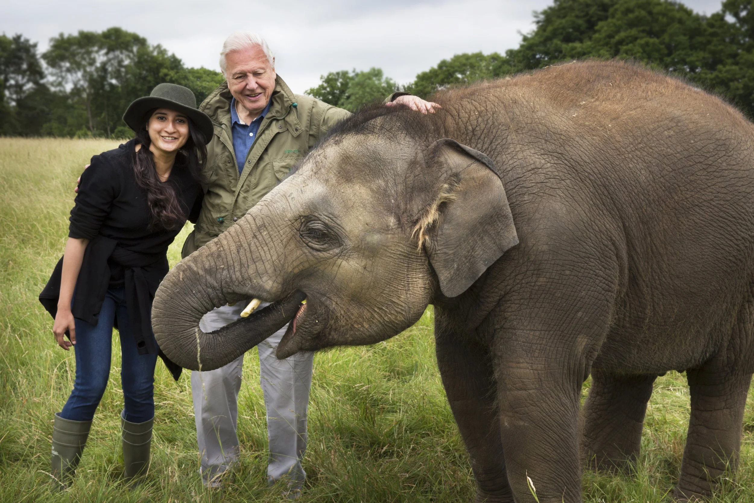 Ashwika Kapur and Sir David Attenborough beside an elephant during filming