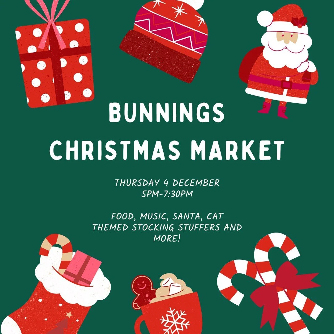 This time tomorrow, the Bunnings Christmas Night Market will be getting into full swing!

Come along for:
🎵 live music
🎁giveaways and present-shopping - we have gifts available for the whole family, cats included! 
🍦🍕🍝 food
🐈 Birchgrove (to tal
