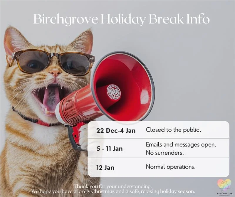 🎄 Birchgrove Holiday Break &ndash; Important Info 🎄

We&rsquo;re taking a little break over Christmas and New Year, and our team will return to checking messages and emails from Monday 5 January.

If you&rsquo;re a new adopter (within 7 days of ado
