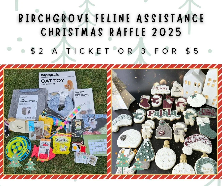 🎄 Last Chance &ndash; Christmas Raffle is Drawn Tomorrow! 🎄

Our Christmas raffle is almost closed, and there are two lovely prizes waiting for their winners!

1st prize
Over $200 worth of cat goodies kindly donated by Bunnings Mornington, plus Bir