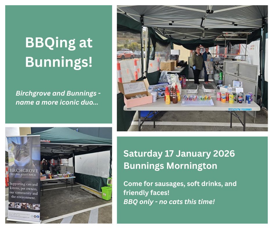 Tell all your friends - Birchgrove's back with a Bunnings BBQ! 

Come on down to Bunnings Mornington this Saturday (17 Jan) and help us raise money to support the work Birchgrove does day in, day out. 

PROS: You get a sausage, soft drink, and a sens