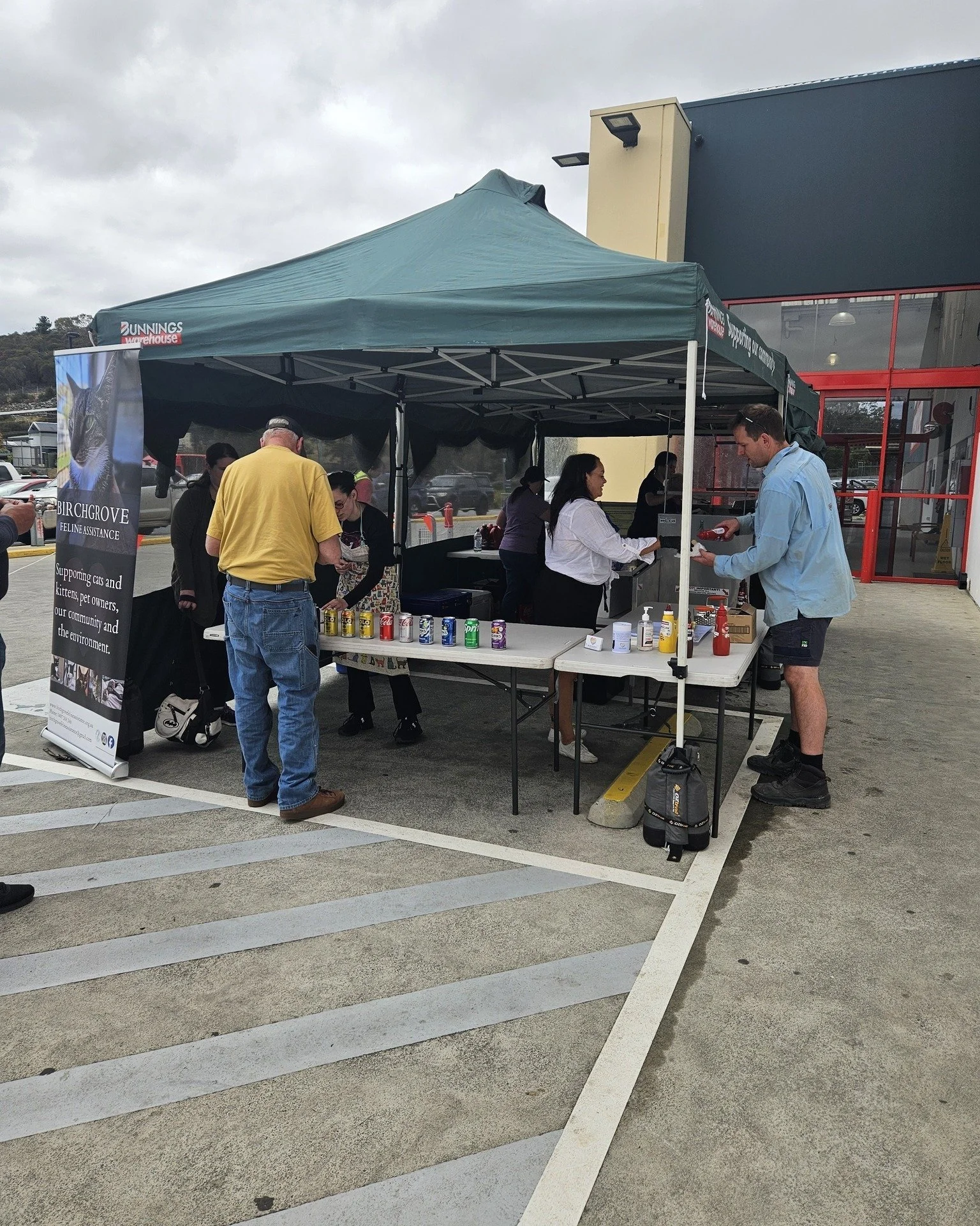 Tomorrow's the day - come and get some real bang for your buck at the Birchgrove BBQ!

We'll be back at Bunnings Mornington tomorrow for another fundraising BBQ. Your support will help cats and kittens get the vet care, food, shelter and safety they 