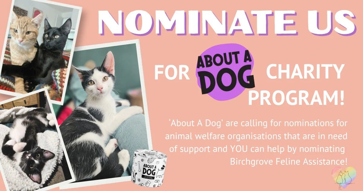 We need your help&hellip; and best of all, you can help from your couch! 🐾

Birchgrove Feline Assistance has the chance to be featured by 'About A Dog' in their upcoming fundraising promotion, but we can&rsquo;t get there without YOU 💛

They are ca