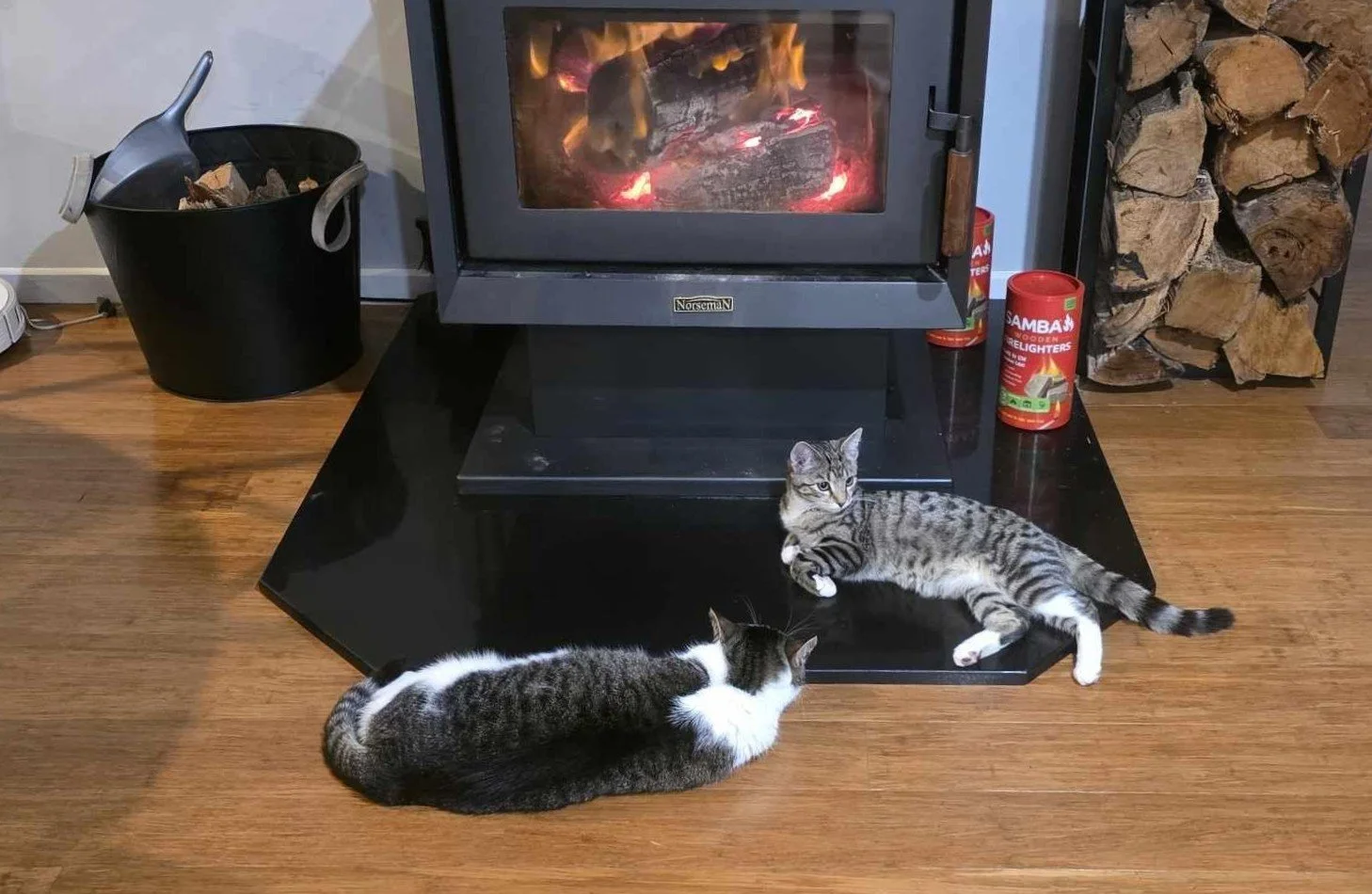 Meet Oberon 😻 Officially living his best life in front of the cosy fire... and with this Tassie cold snap, we really can't blame him!
Is your cat doing the same today? Drop a photo of your feline keeping warm in the comments below 🧡

Oberon was rec