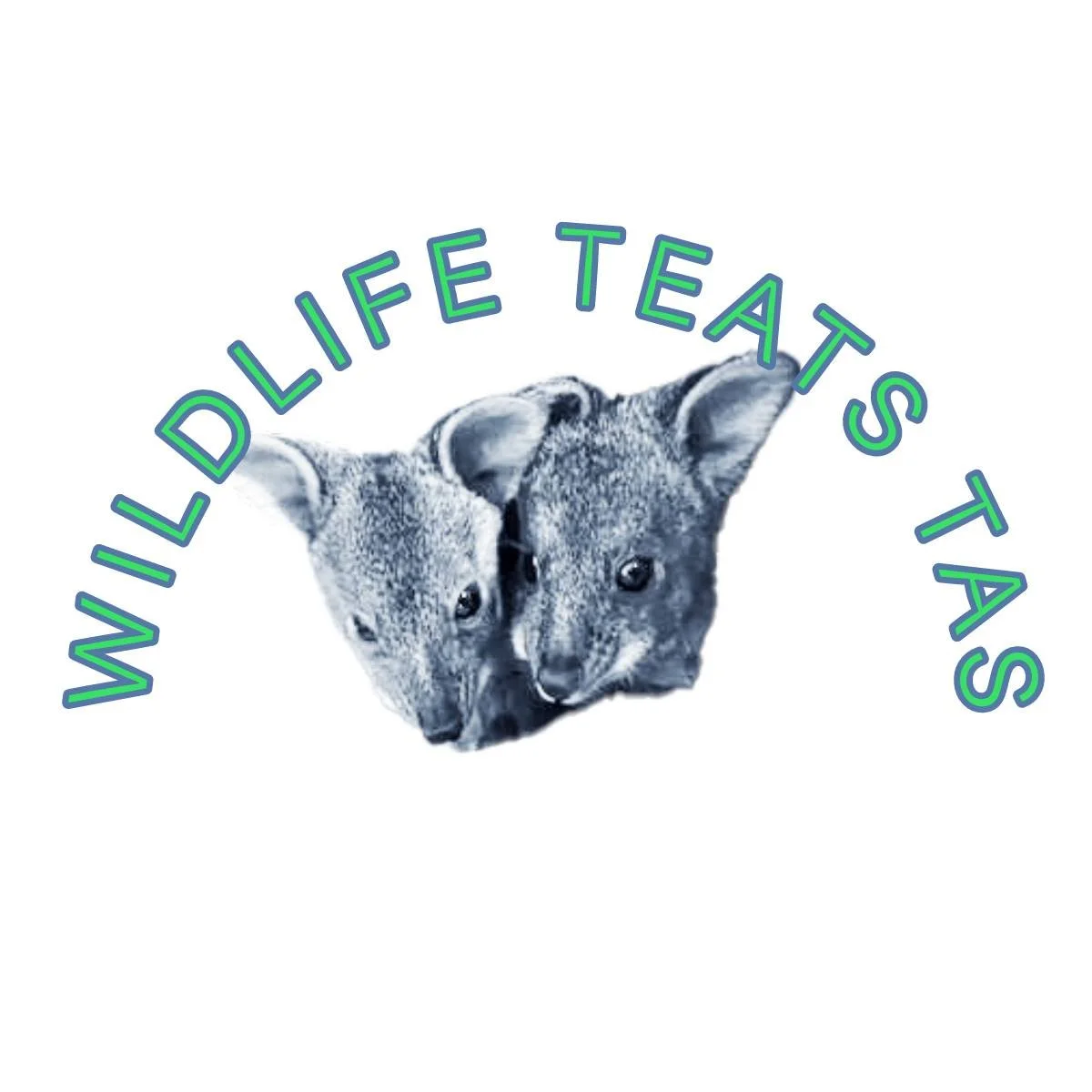 We wanted to send a  huge thank you and shoutout to Wildlife Teats Tas!🐾
They're a small Tasmanian business designing specialised teats for native wildlife, AND kittens! 
We purchase their teats each kitten season, but sometimes we get  difficult fe