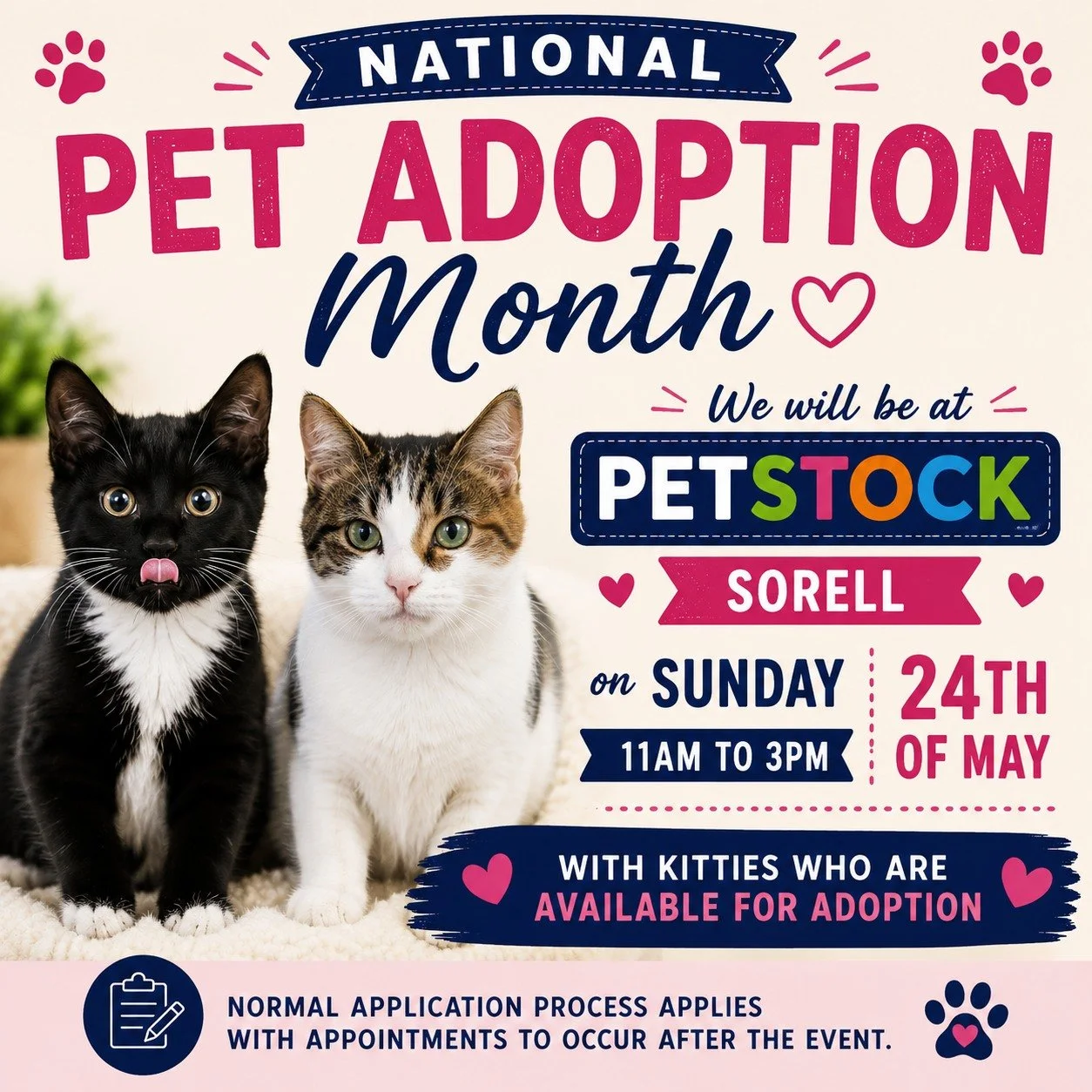 May is National Pet Adoption Month! 🐾

Come and meet some of our gorgeous cats and kittens looking for loving homes at Petstock Sorell this Sunday, 24 May, from 11:00am to 3:00pm.

Our volunteers will be there to chat about adoption, fostering, volu