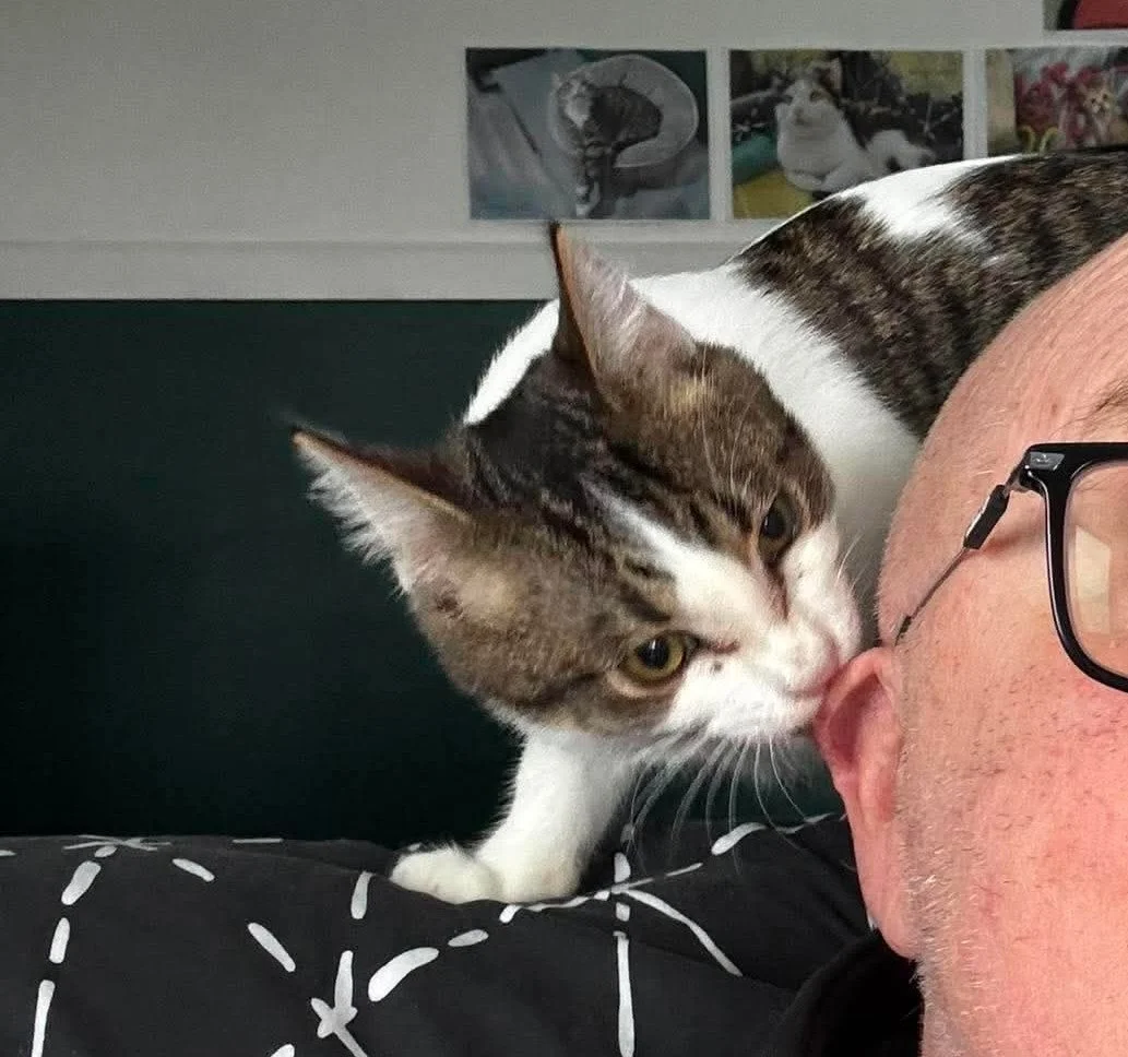 Meet Romeo. ❤️

Before you say it... no, he's not sad. And no, he's not sick.

Six-month-old Romeo has been checked by the vet, and we've been told he has overactive tear ducts. His eyes are constantly a little watery, which means he gets staining un