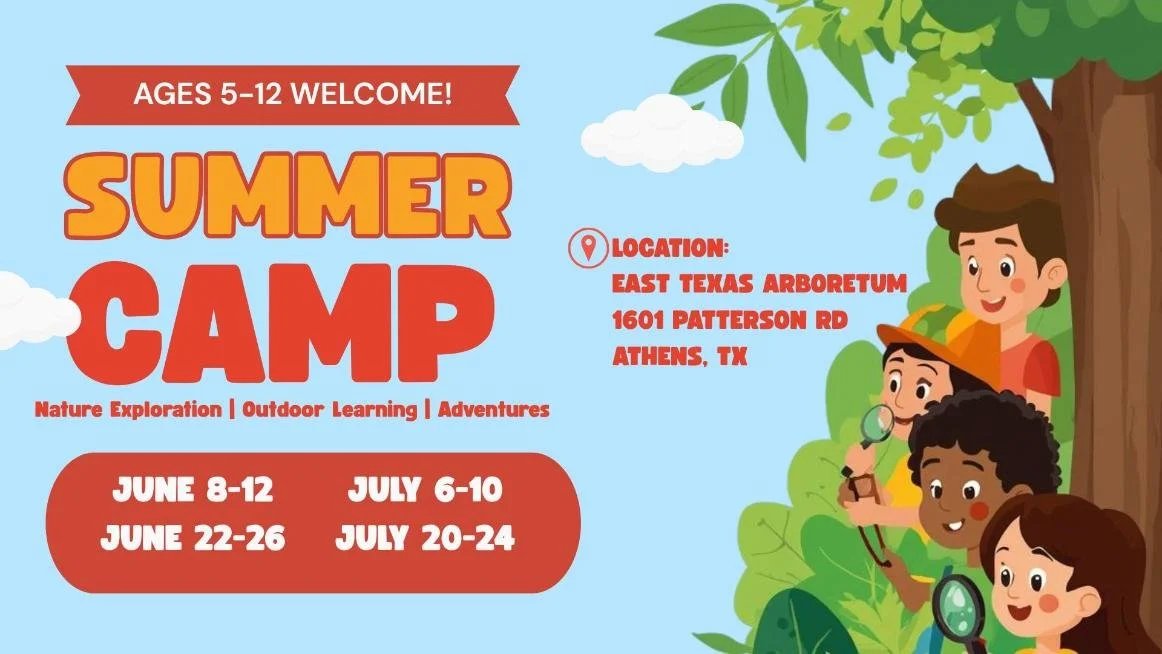 E Tx Arboretum Summer Camp (1).jpg