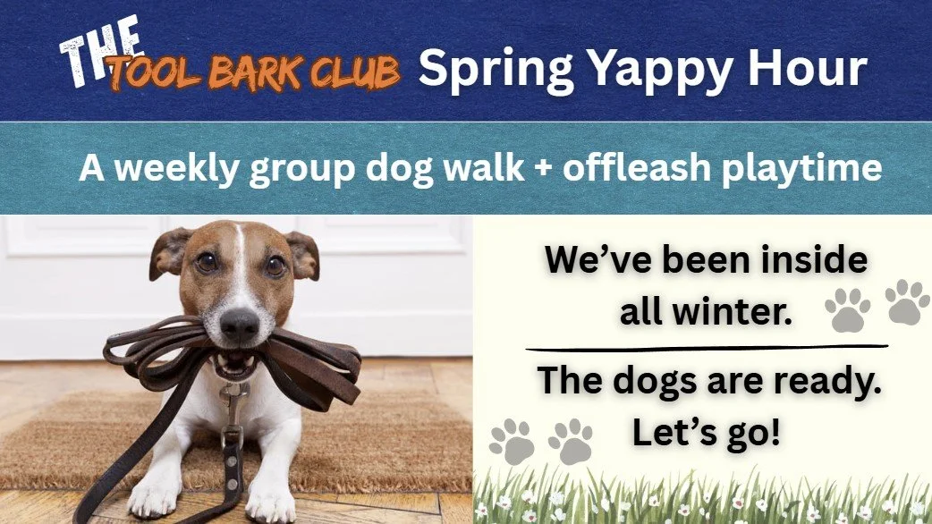 Yappy Hour April.jpg