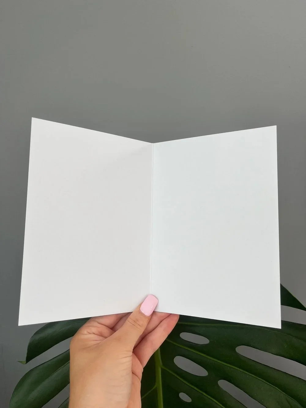 629813A5-C17C-4983-8A86-91491BAB0E34.webp