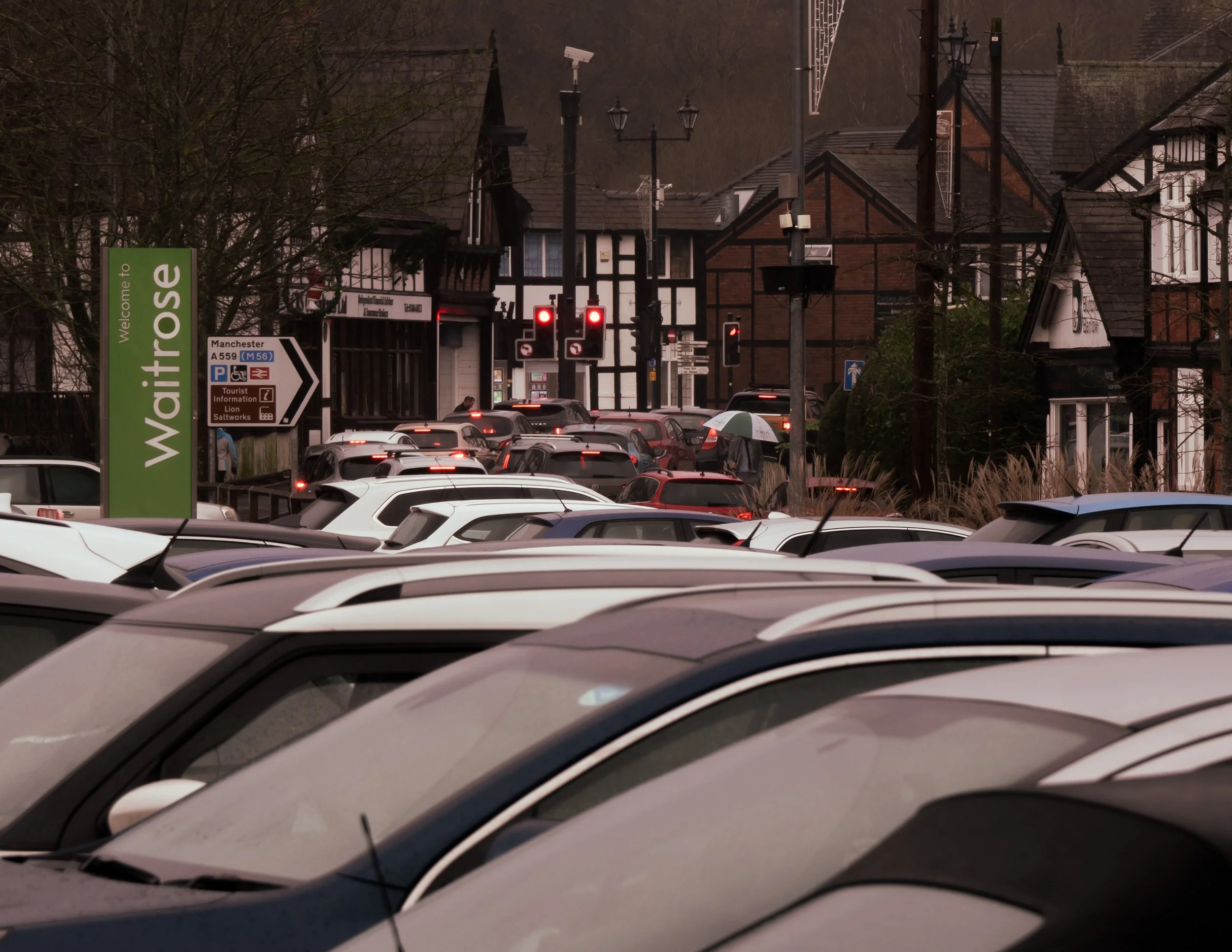 A World Without Cars