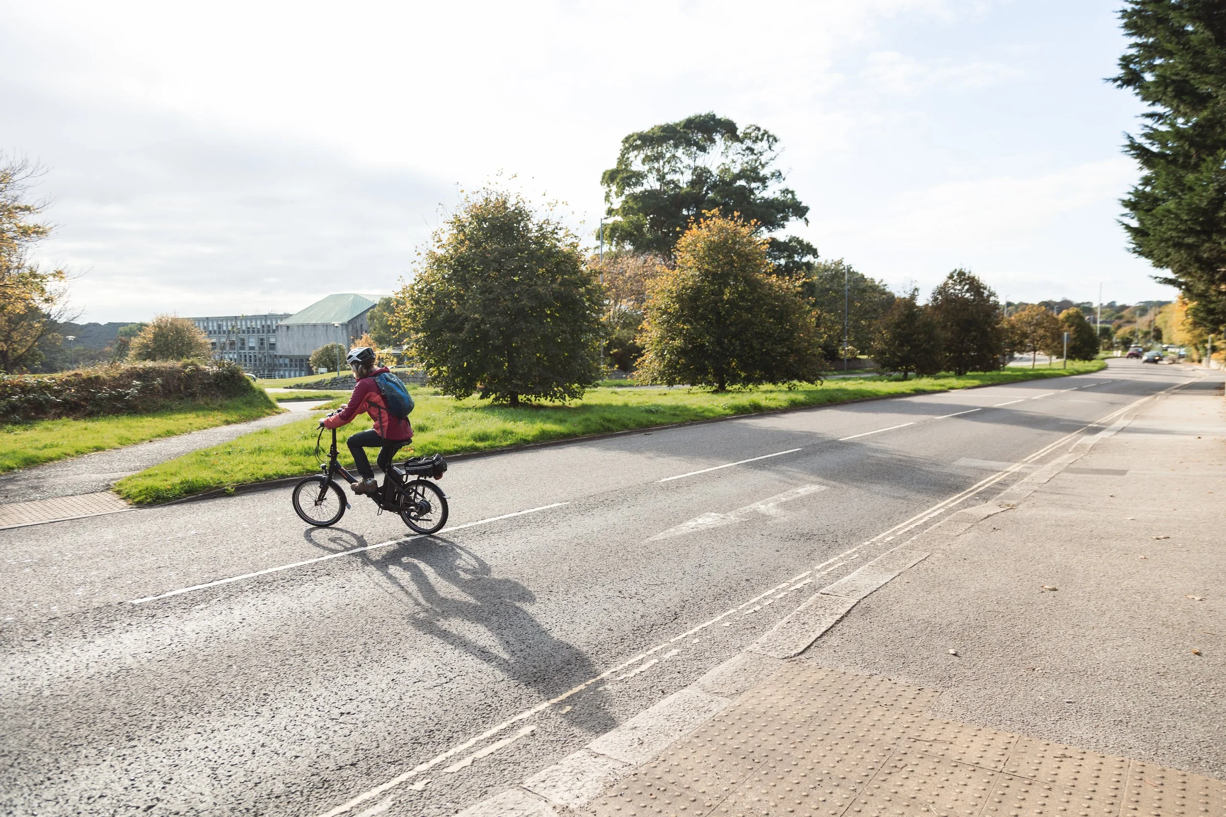 A person riding a bicycle on a street with trees and a building in the background on a sunny day.