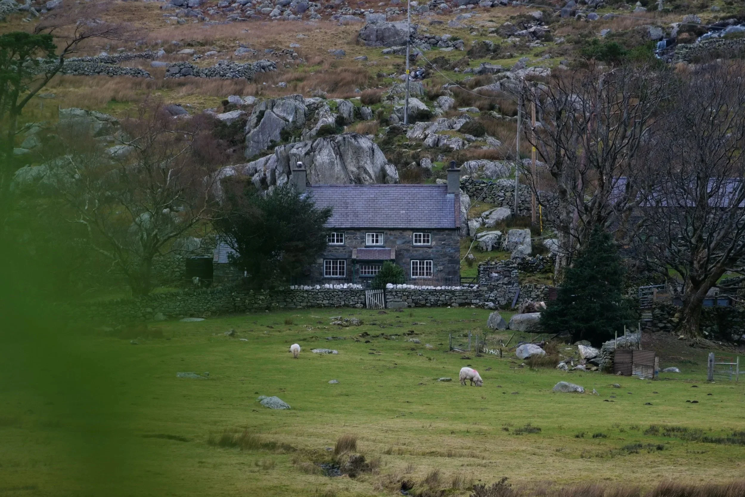 A stone cottage surrounded by a stone wall and trees, set in a lush green meadow with grazing sheep, on a hillside with rocks and sparse vegetation.