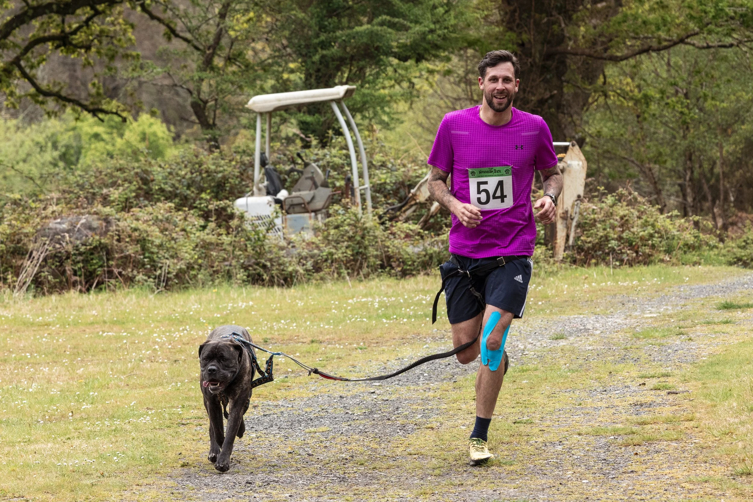 A man running outdoors wearing a purple shirt, dark shorts, and a race bib number 54, while holding a leash attached to a large black dog.