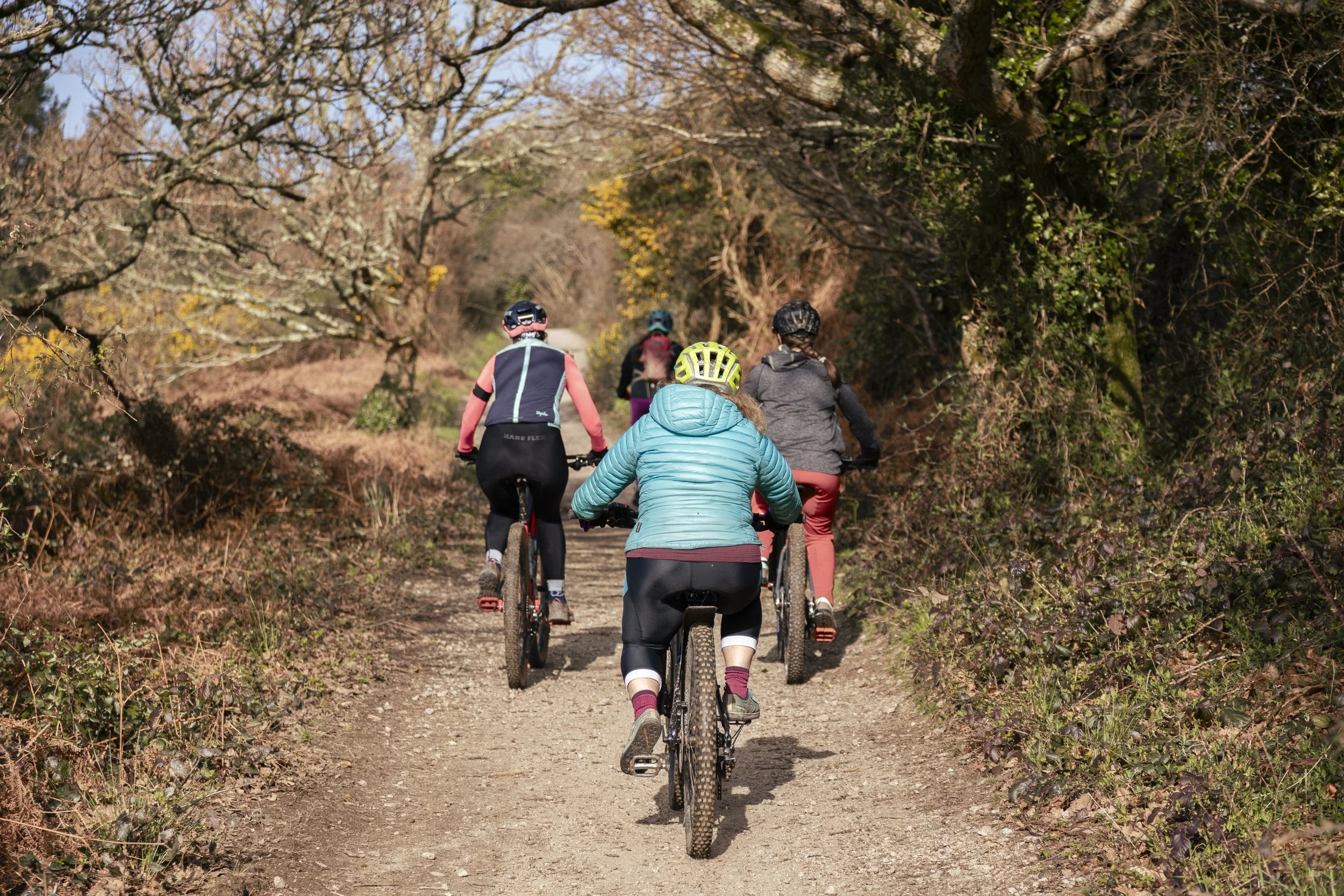 Four people mountain biking on a dirt trail surrounded by trees with some autumn leaves.