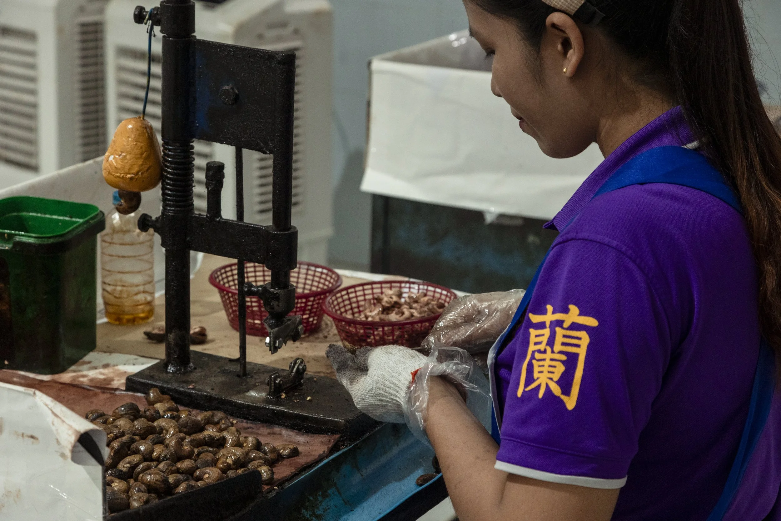 A woman wearing a purple shirt with yellow Asian characters and gloves processing nuts or seeds at a workstation, with baskets and containers of food around her.
