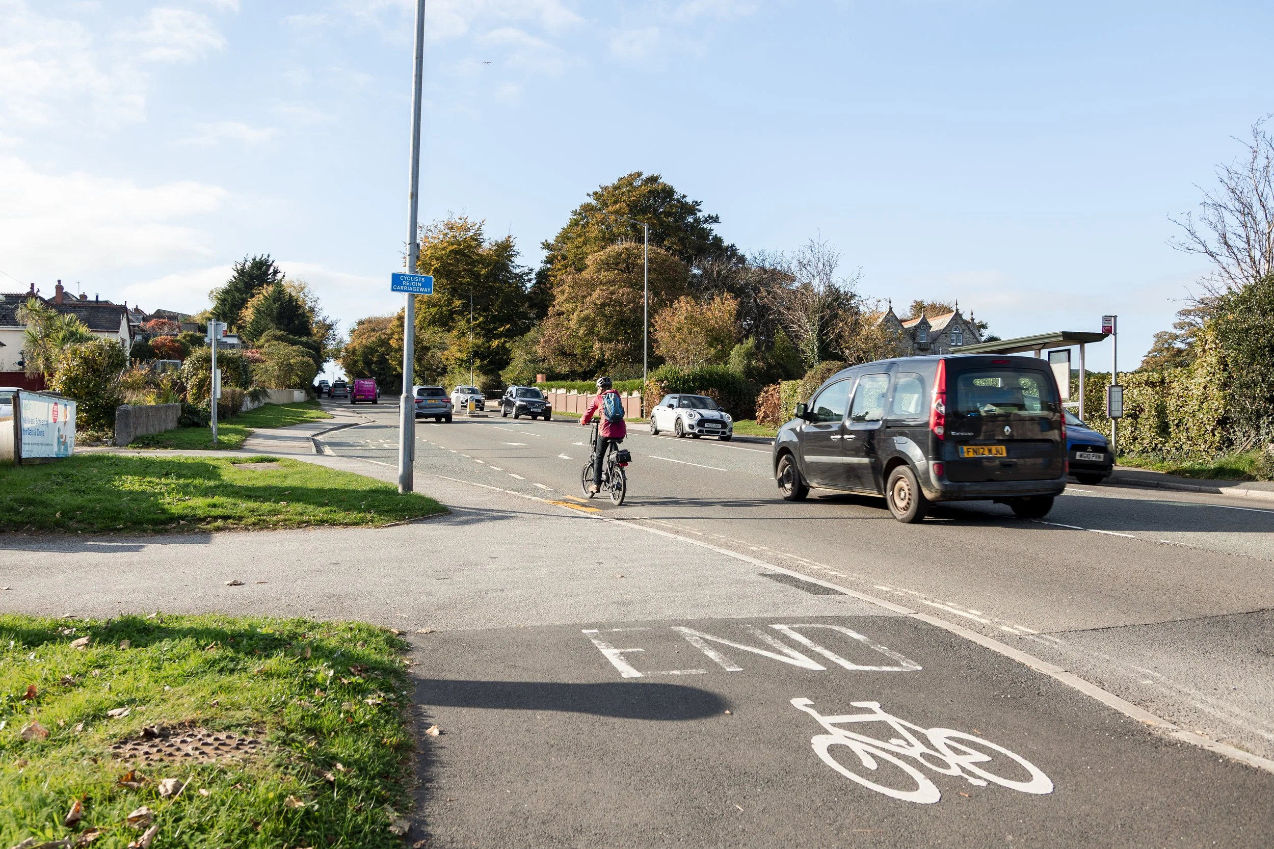 A cyclist riding on a dedicated bike lane on a city street, with cars and trees lining the road, and a blue sky overhead.