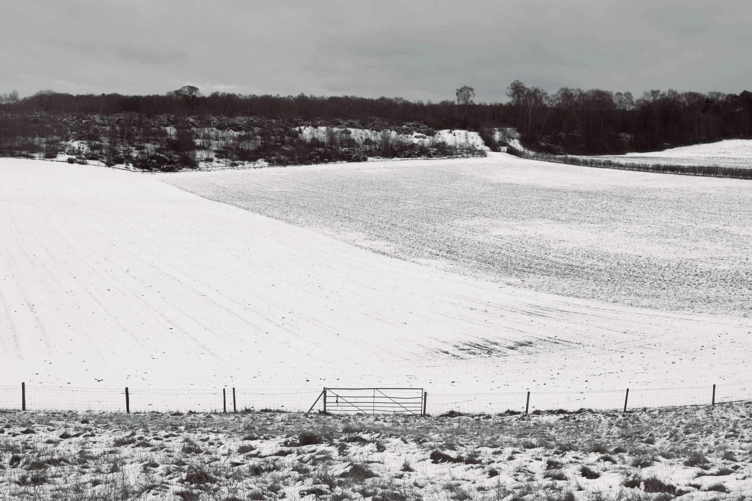 Snow-covered field with a fence and gate in the foreground, rolling hills and trees in the background under a cloudy sky.