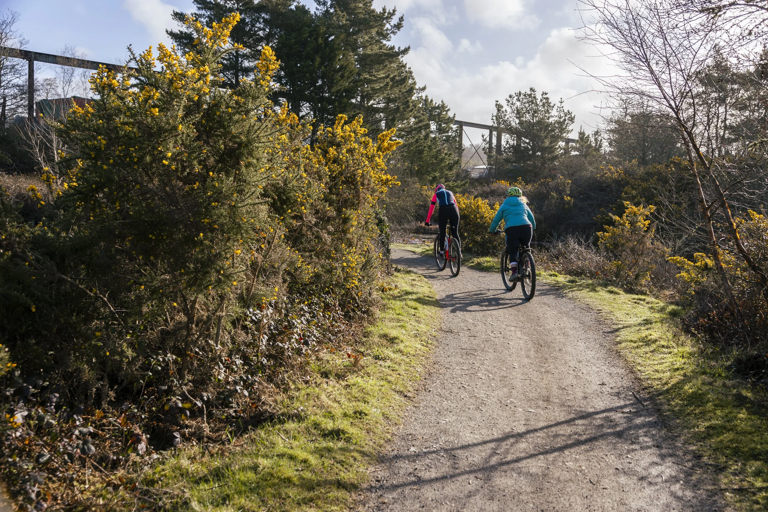 Two cyclists riding on a dirt trail through a landscape with bushes and trees under a partly cloudy sky.