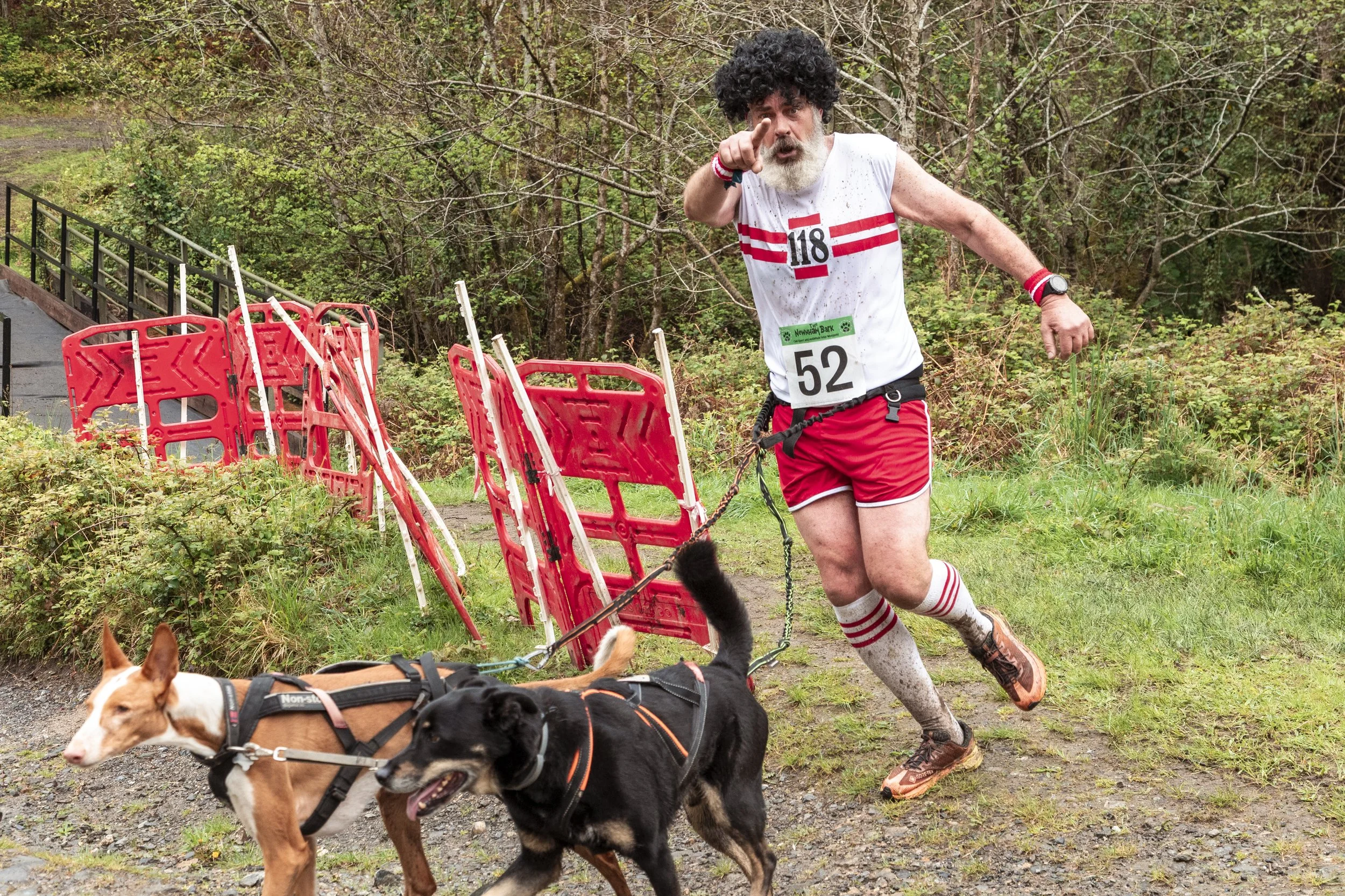 A man with a curly black wig, white beard, and red sportswear participating in a race, running with two dogs on a trail near some red barriers and a wooded area.